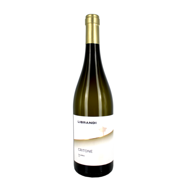 Val di Neto Bianco Igt 2024 Critone - Librandi