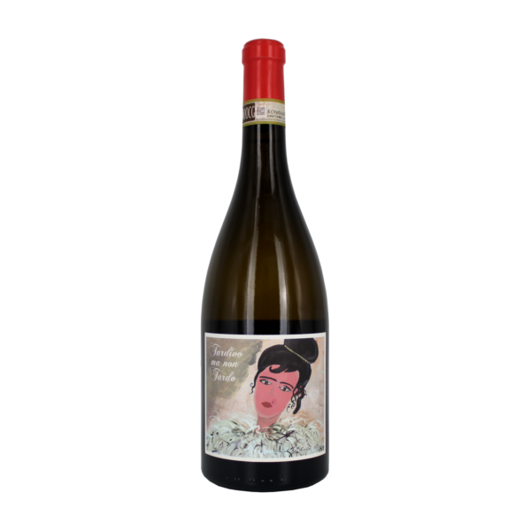 Castello di Jesi Verdicchio Docg 2019 " Tardivo ma non Tardo" - Azienda Santa Barbara
