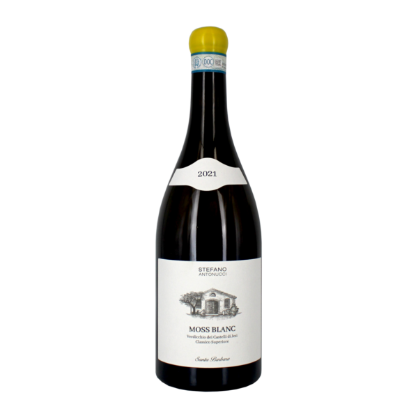 "Moss Blanc" Verdicchio dei Castelli di Jesi Classico Superiore Doc 2021- Stefano Antonucci